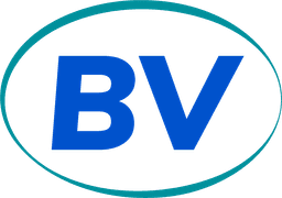 Bidvoyage Logo